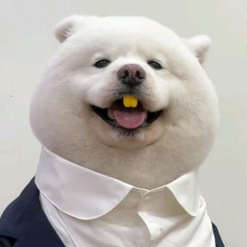 “思密达”