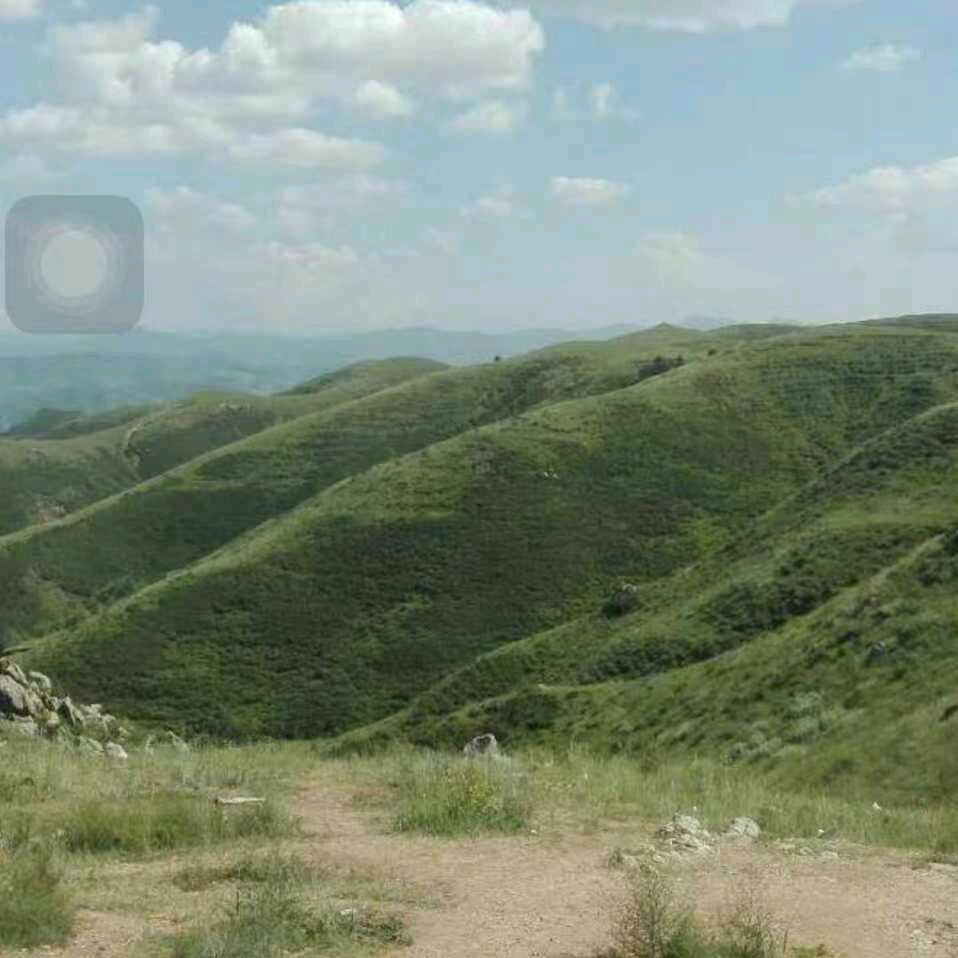 🍦龙腾虎跃