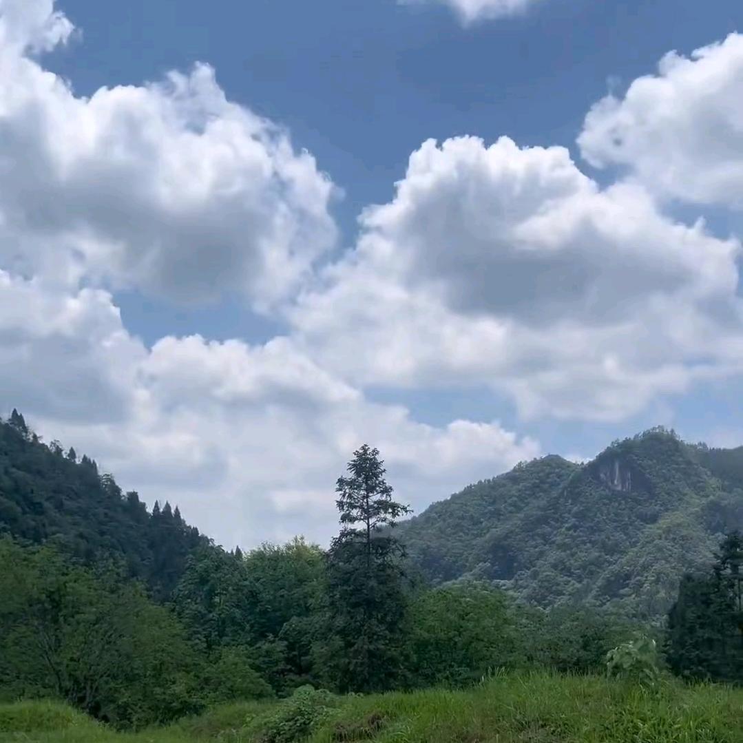 云然山人