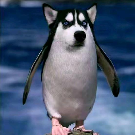 伟　 ༽