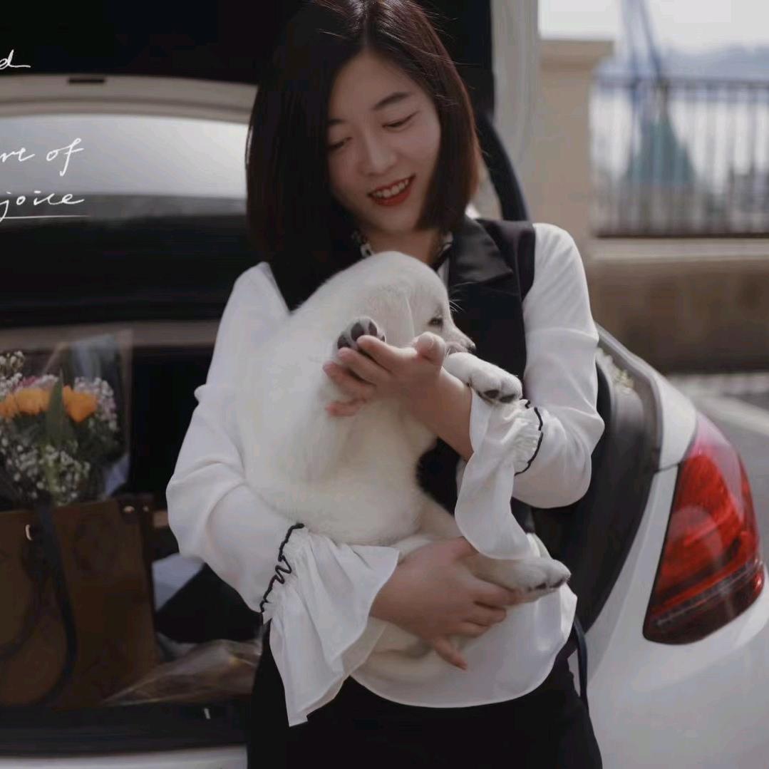 Miss刘（精选+指导）