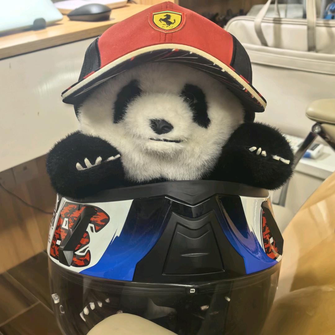 庞白