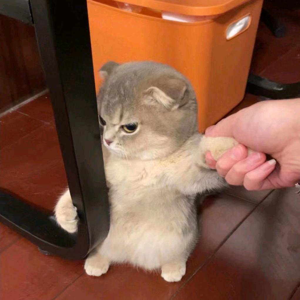 bnnjhg