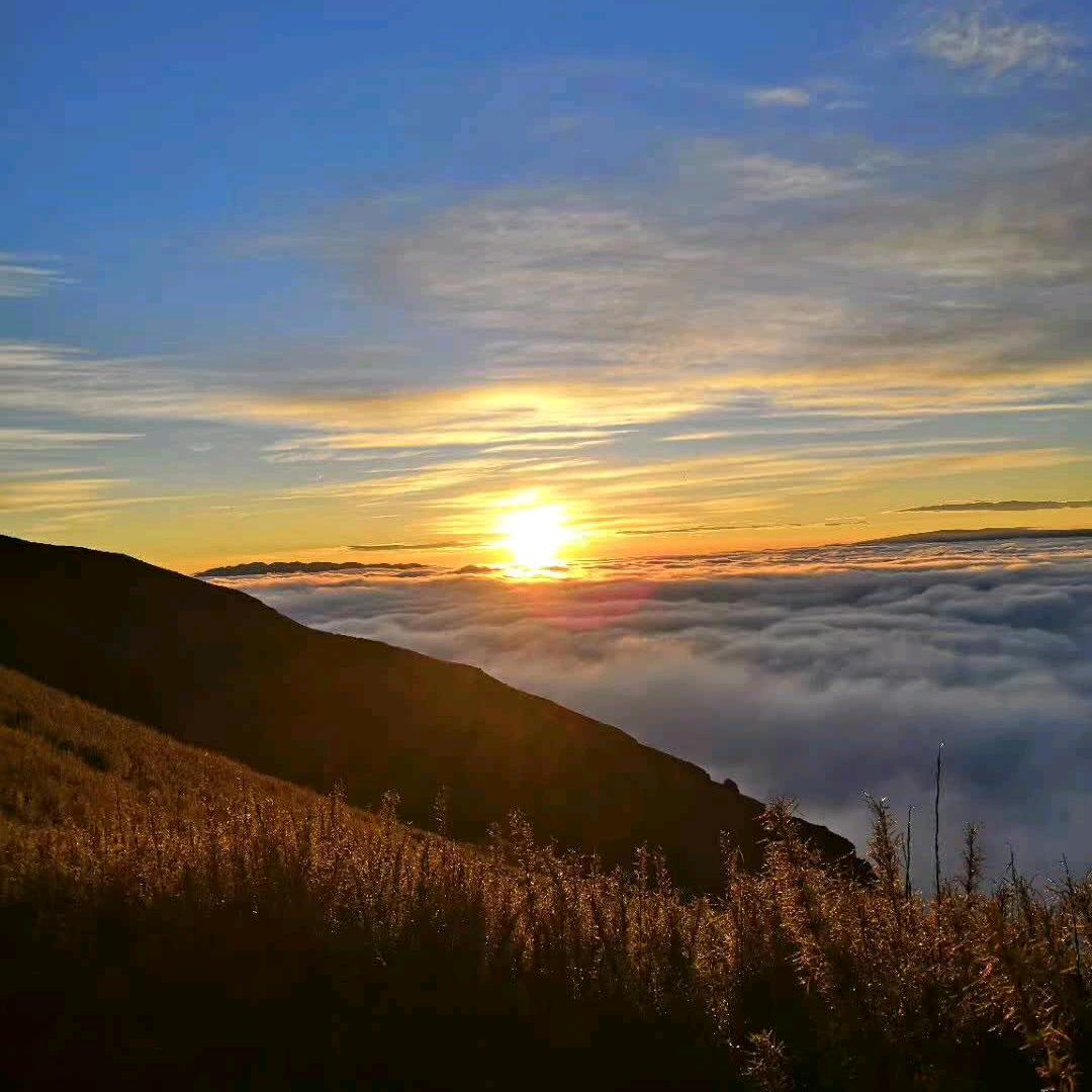 🧸🧸🧸🧸🐶🐶🐶