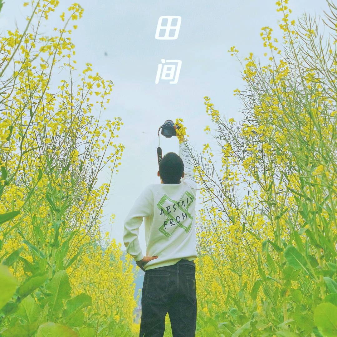 大龙龙、