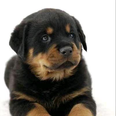 何必执着79255354035