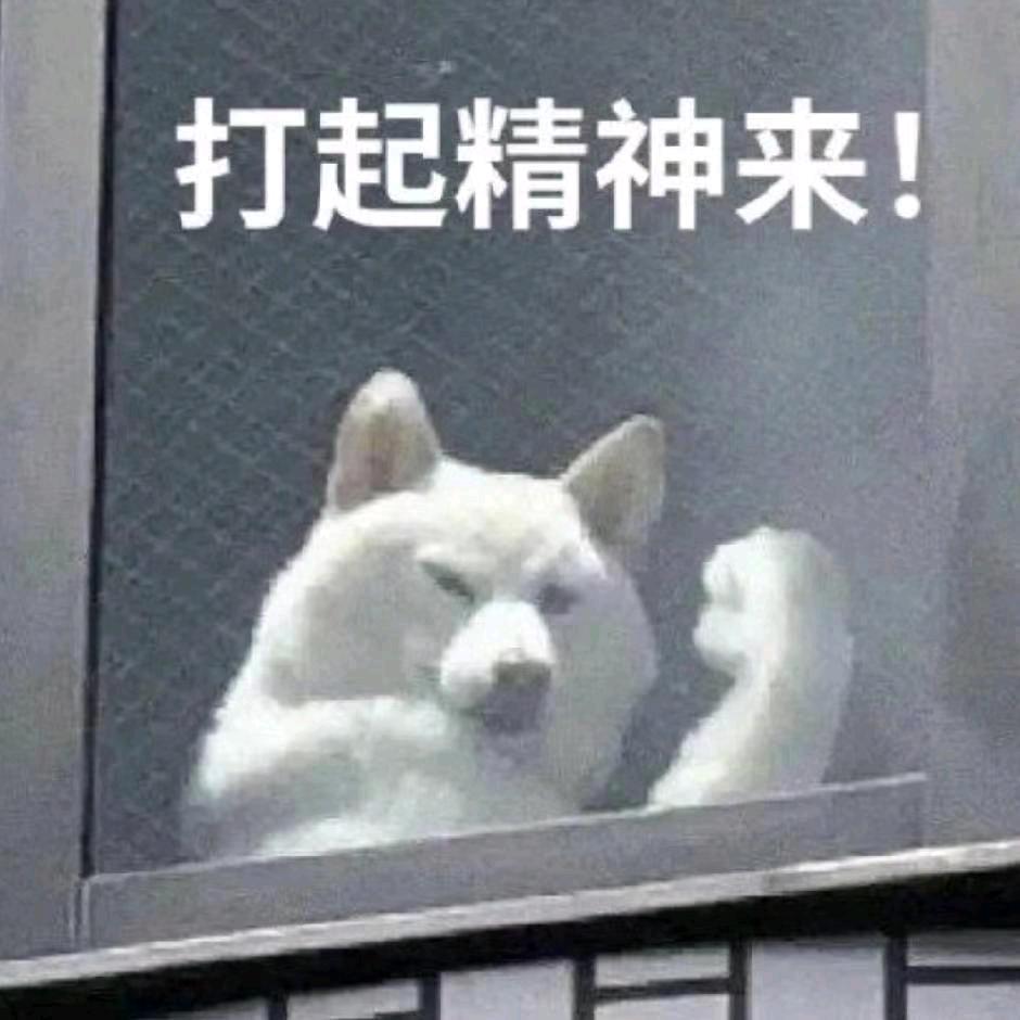 小李是肥宅