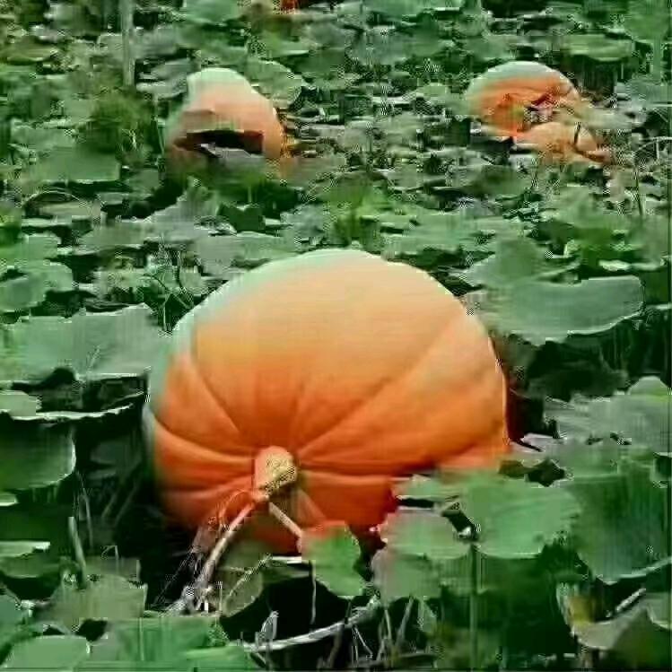 蓝天白云
