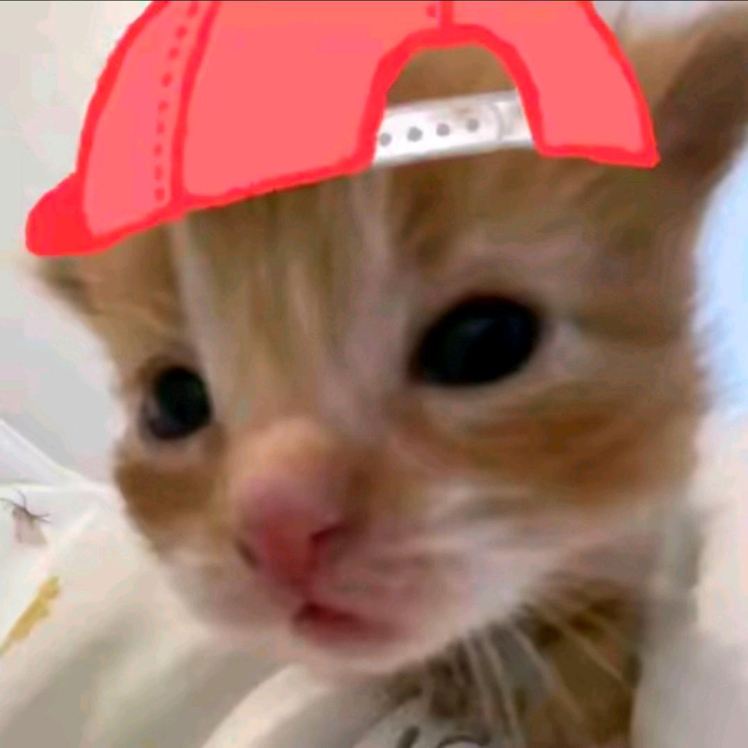 梅角羊.