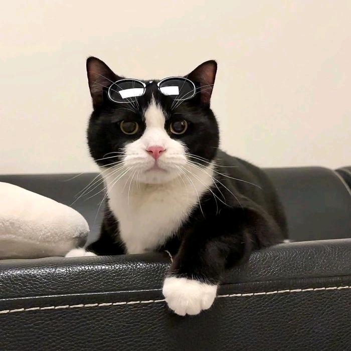 布拿拿与“房”