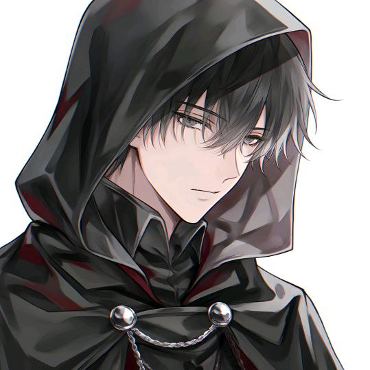 蓝桉长在洱海边