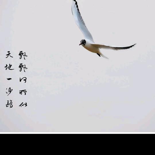 靳建平