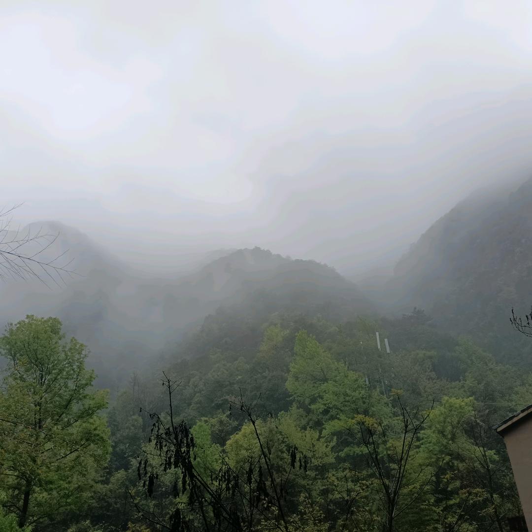 蓝天下翱翔