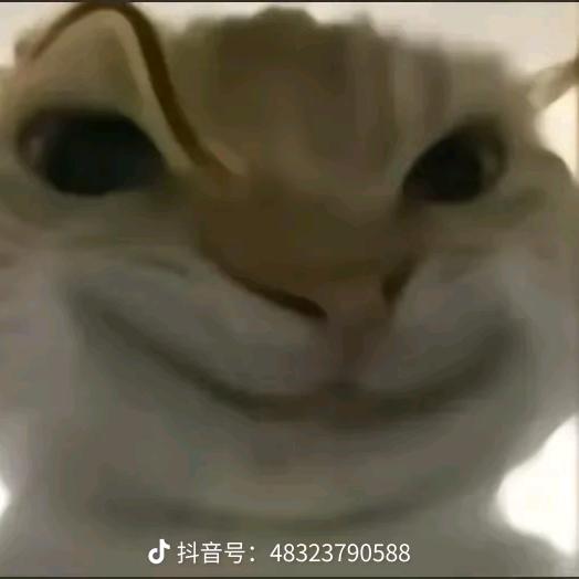 Jy