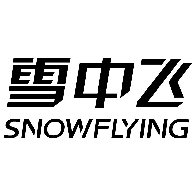 雪中飞科嘉专卖店