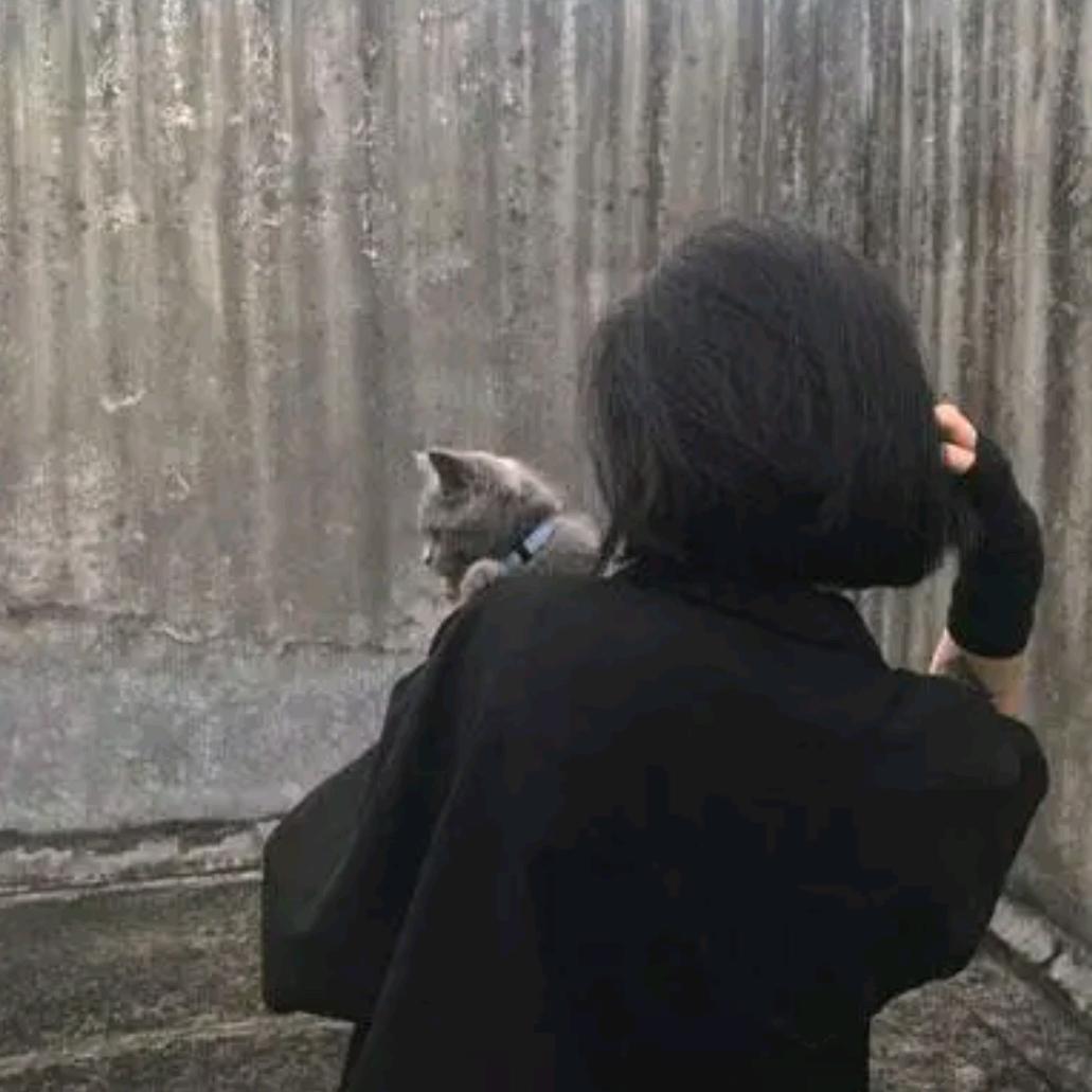 玫瑰