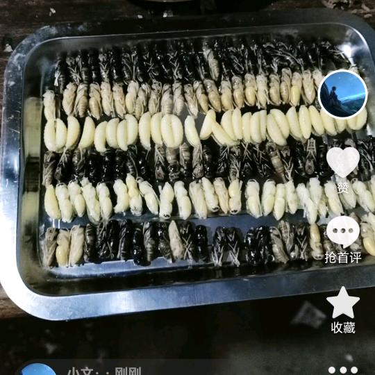小文·