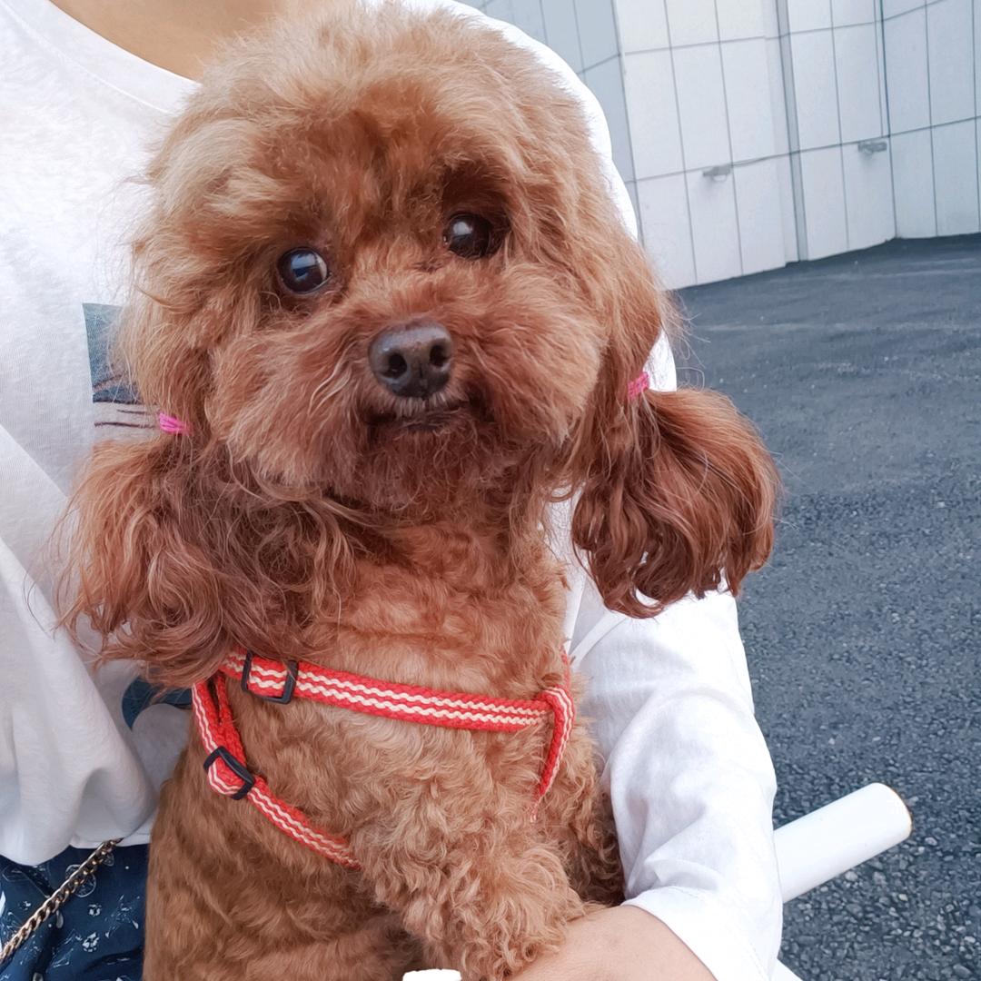 ꧁我的两餐四季꧂🌸
