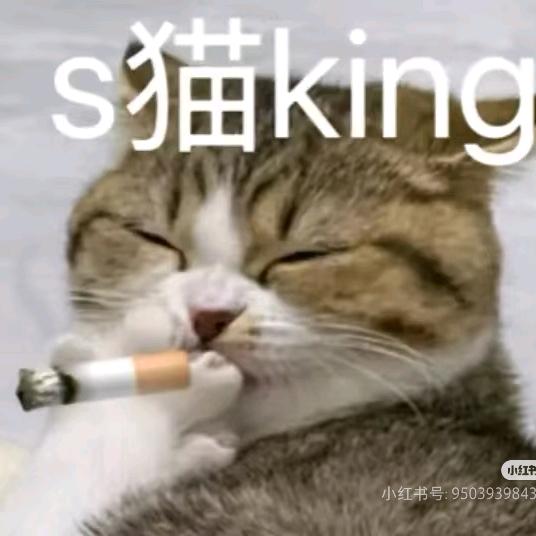 下犬健身铁馆