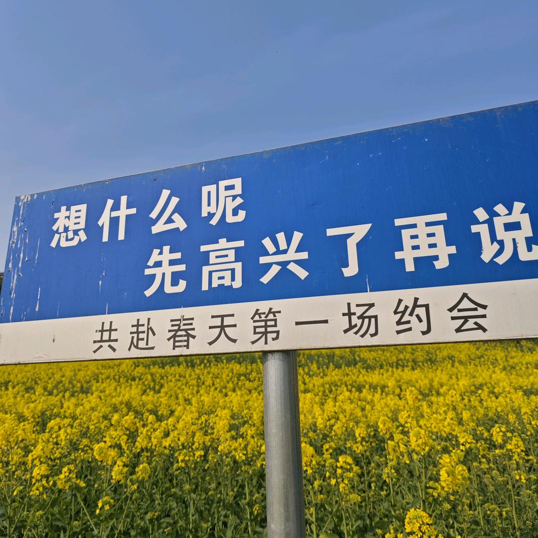 多纳鲁莽