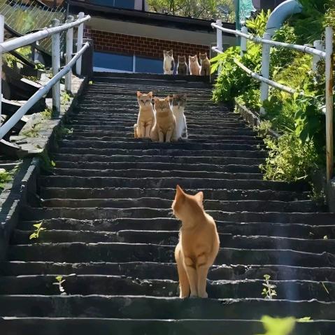 陈松、商丘亚特酒吧，商k招待