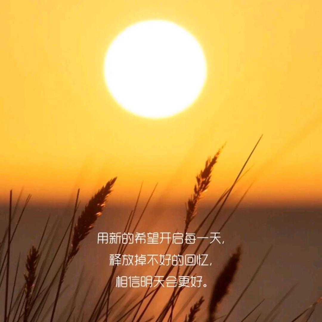 溶酶体中心
