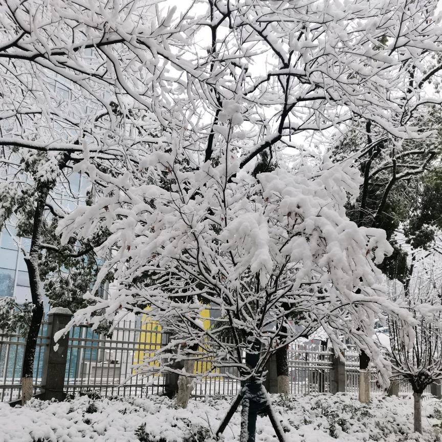 小清