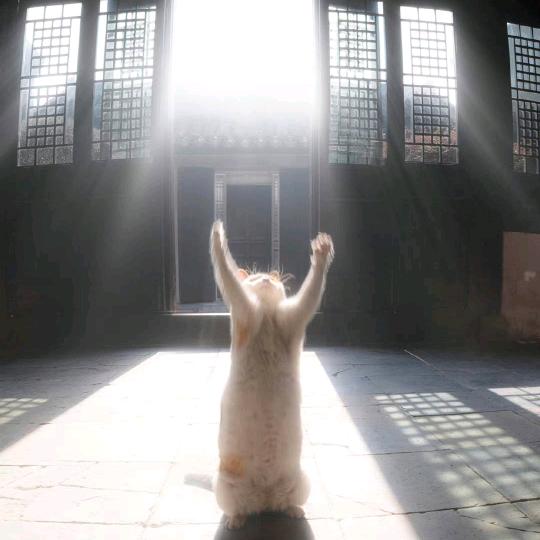 荔枝分享正能量