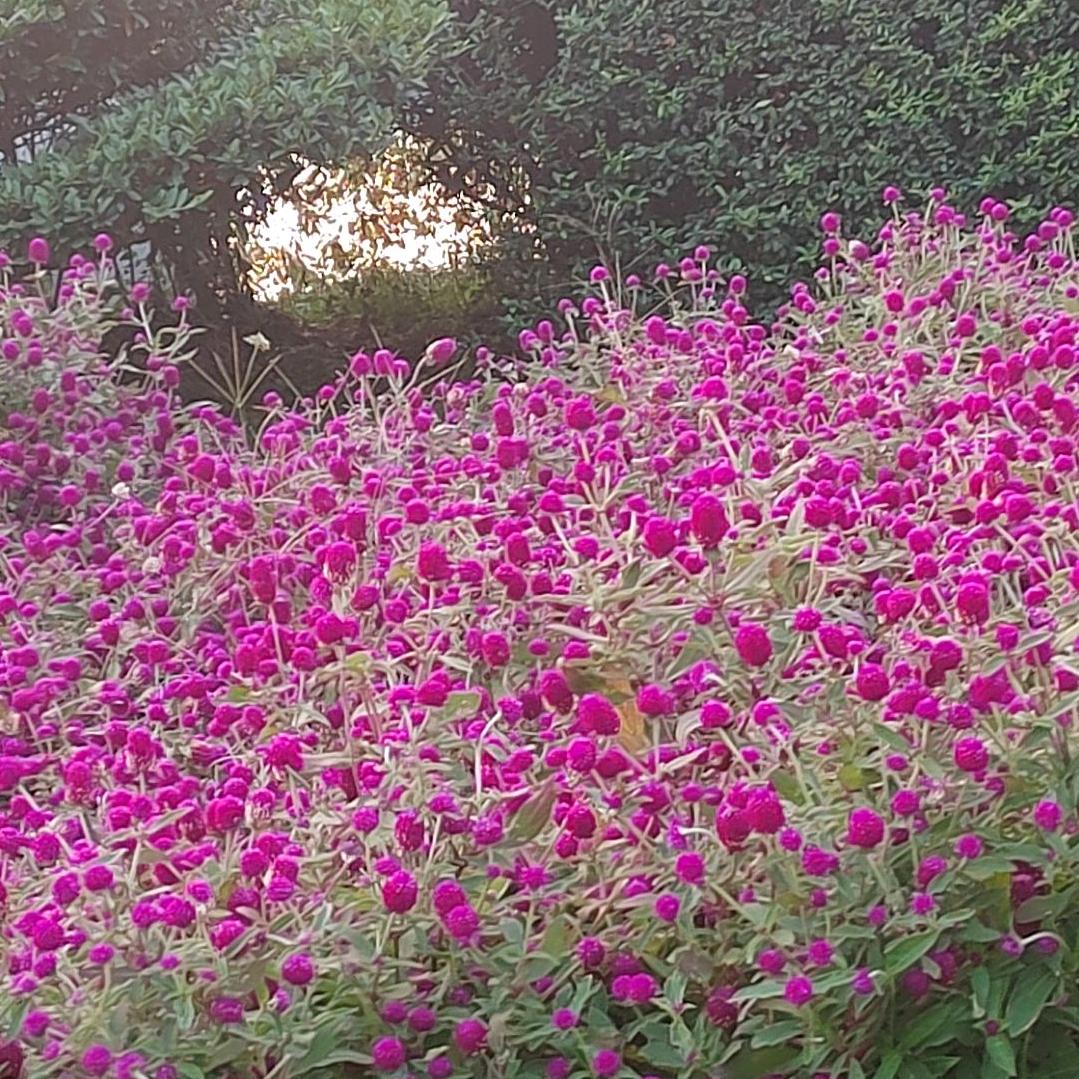 ℳᥫᩣ不必谁♡̶҉ 懂我 ღ᭄拒绝私聊
