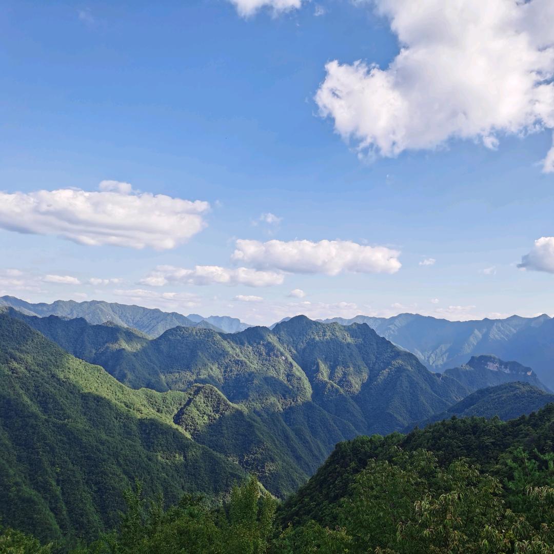 耳东先森（纳库马塔塔）