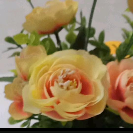 🌺快乐人生 🌺