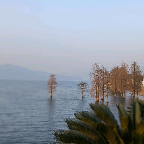 猴子叔叔🐵与小丑🤡