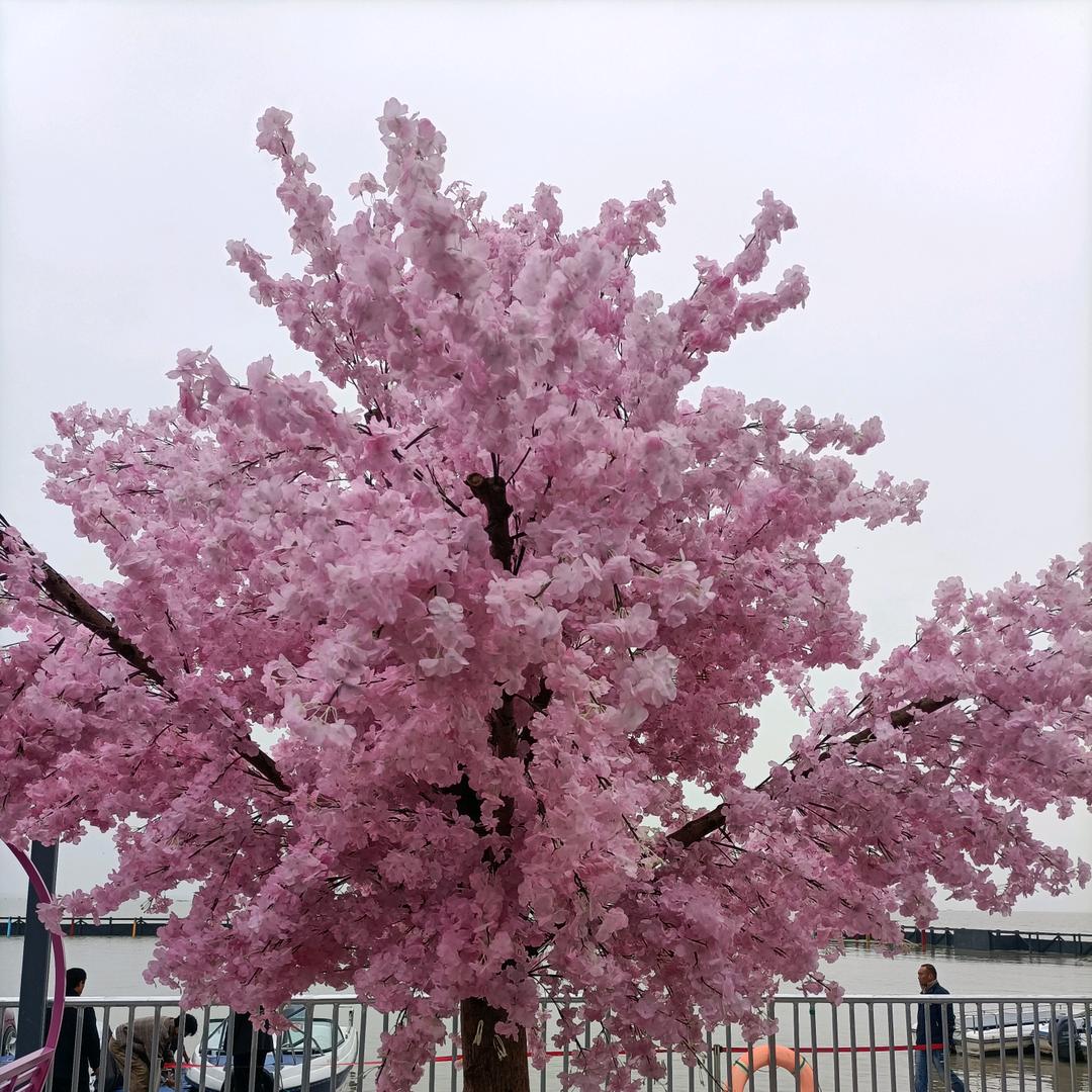 单身怕孤独★结婚怕辜负