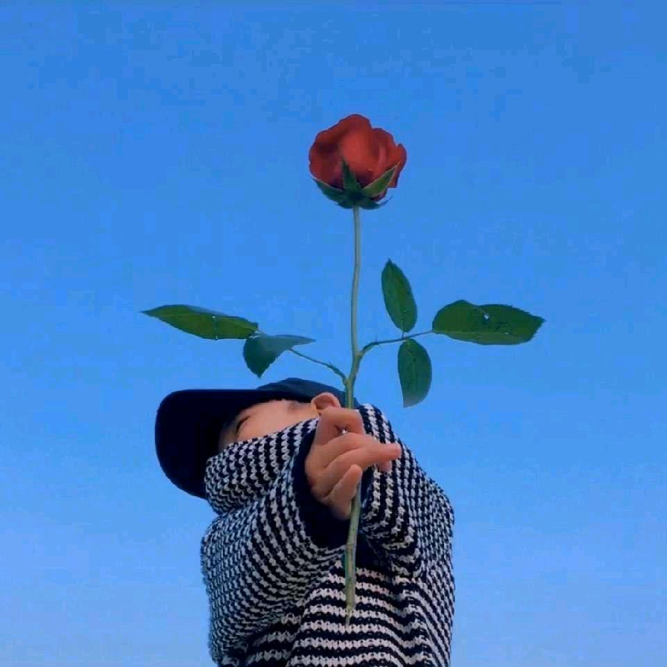 -阿茂