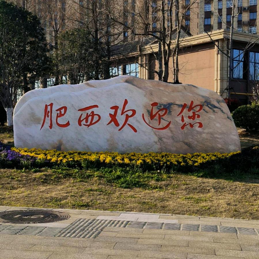 肥西董岗.程宗勇