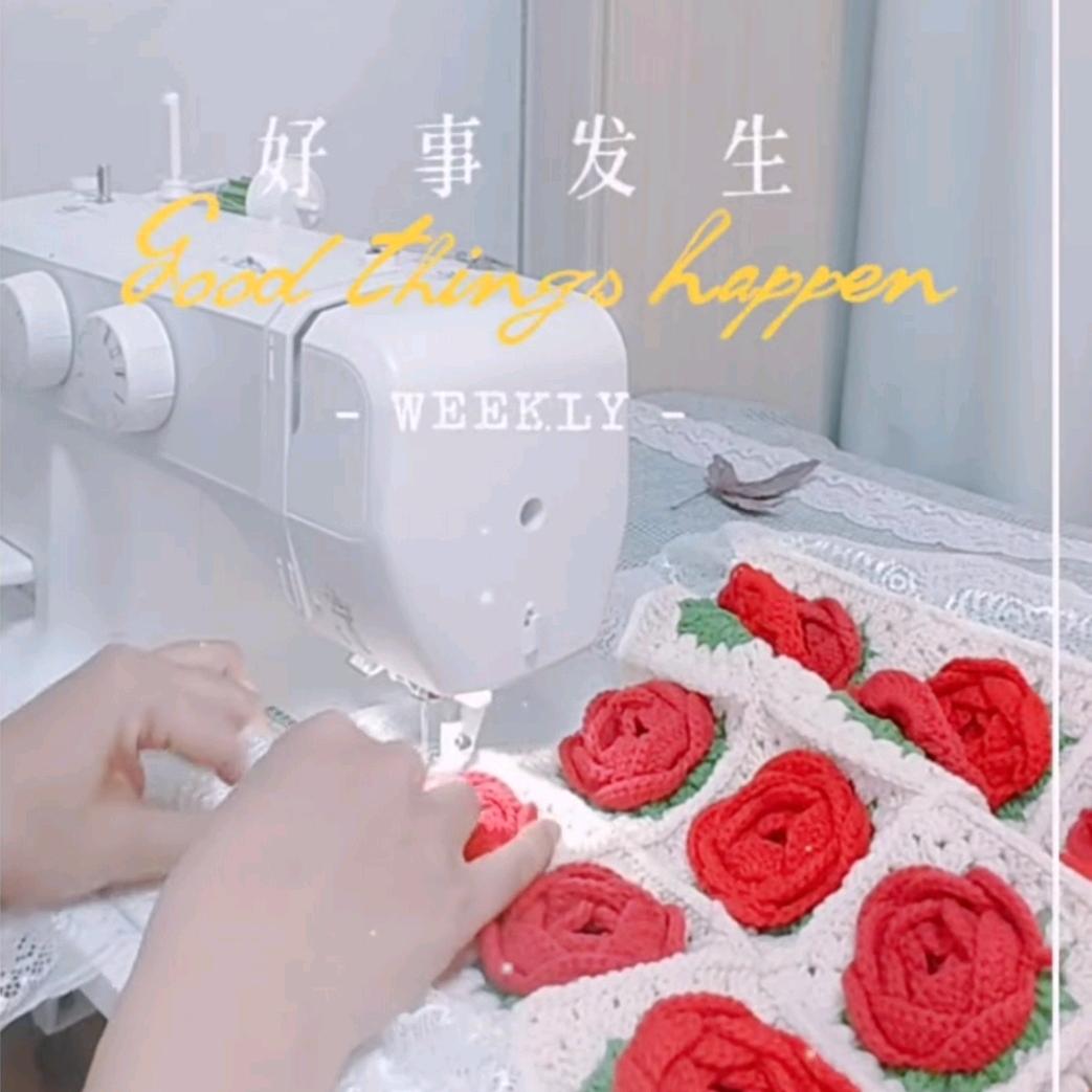 银杏叶萌宠