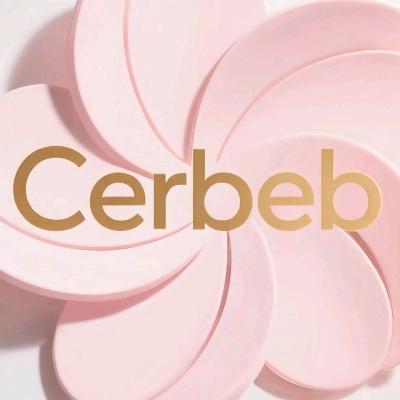 CERBEB美容仪