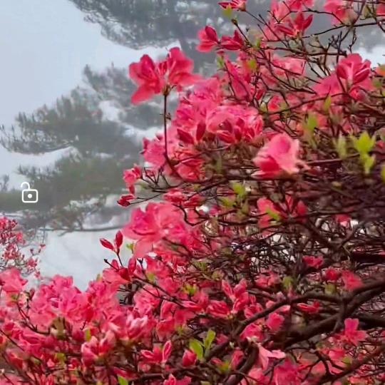 爱听海