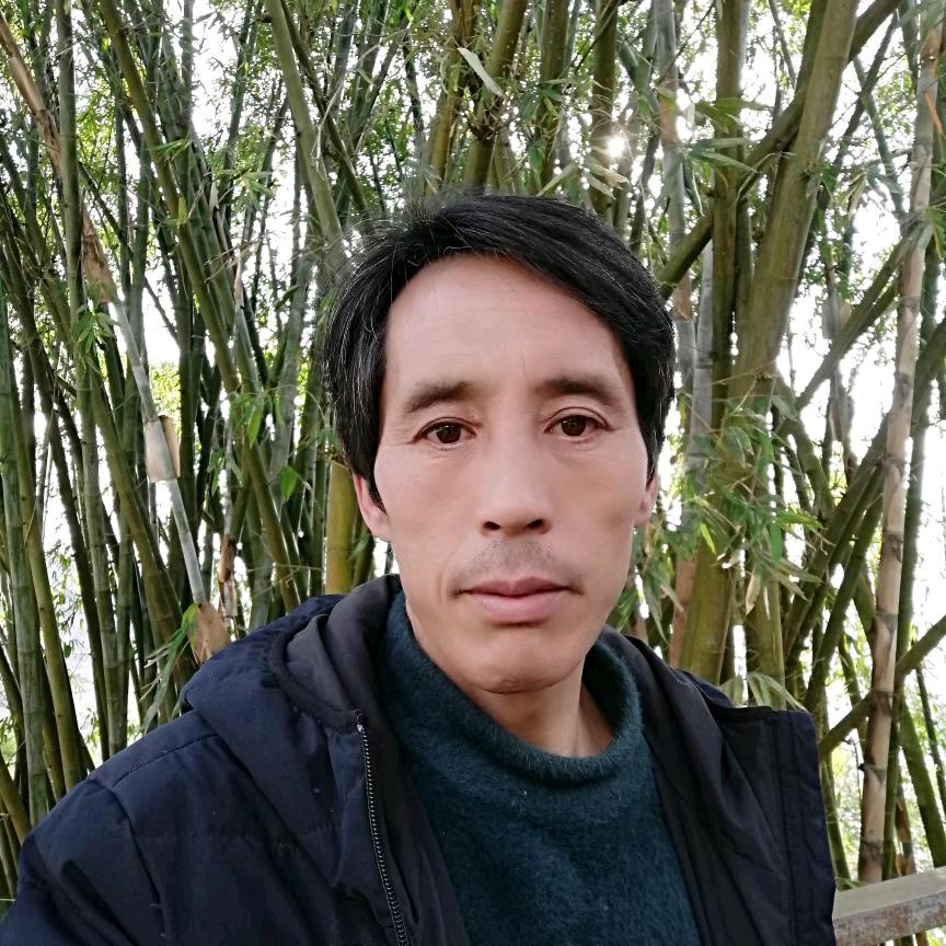 好运来。