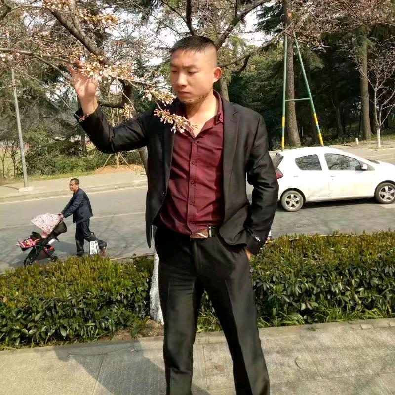 深圳市强子水产批发供应链