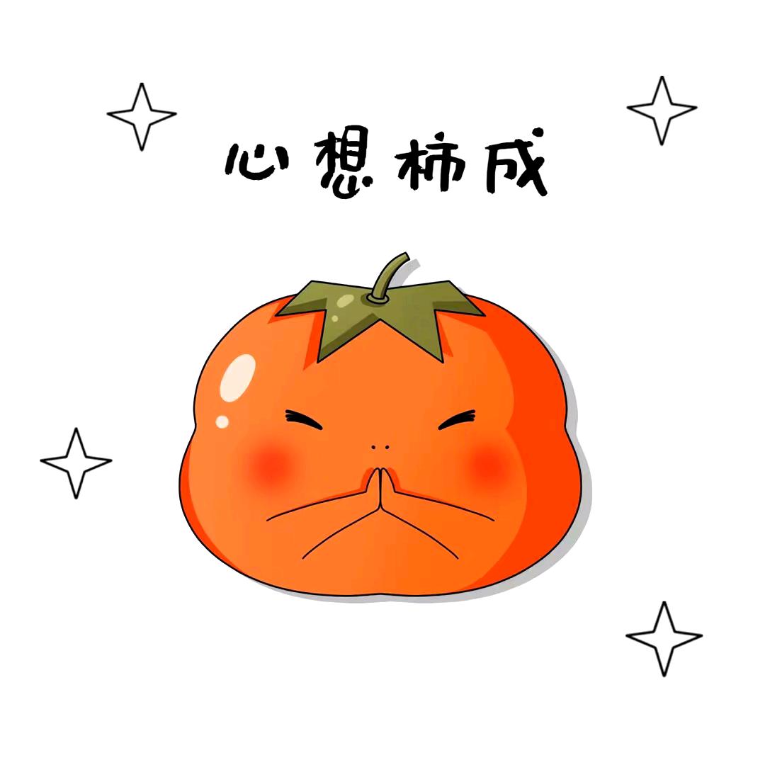 玩弹幕的小陈