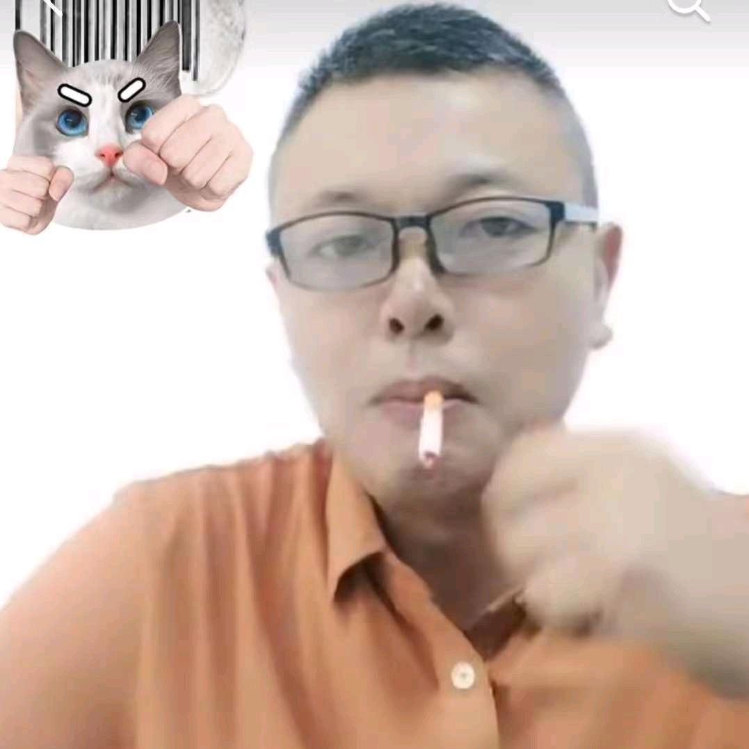 看破红尘的夜猫