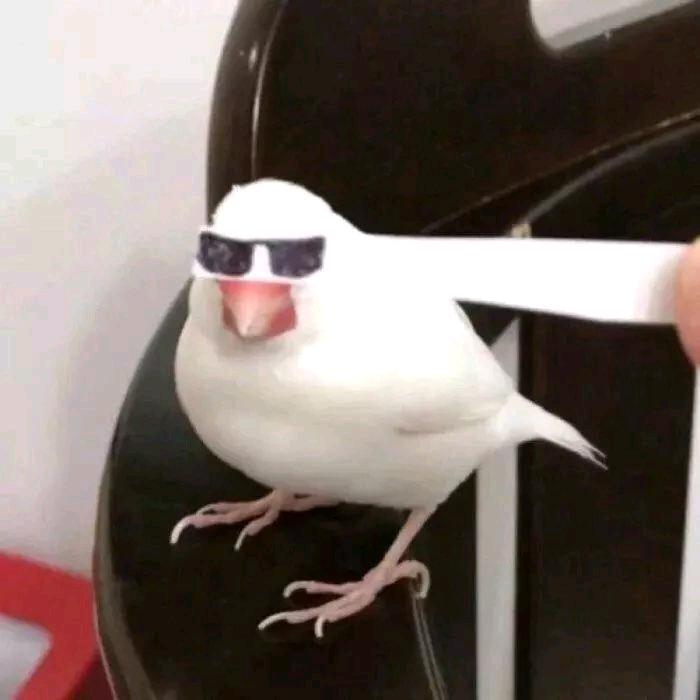 元元的日记