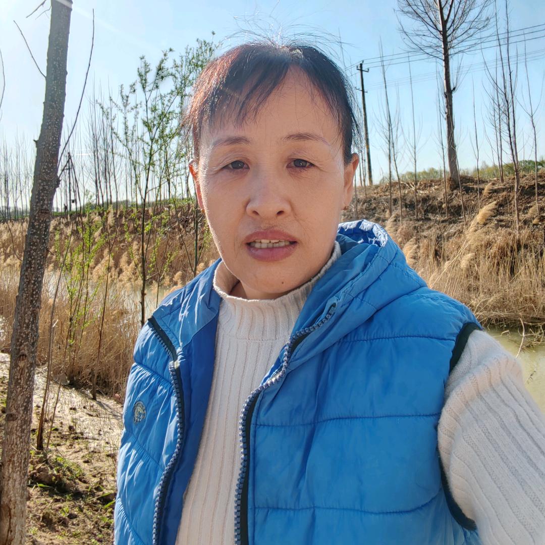 @六嫂（首播）