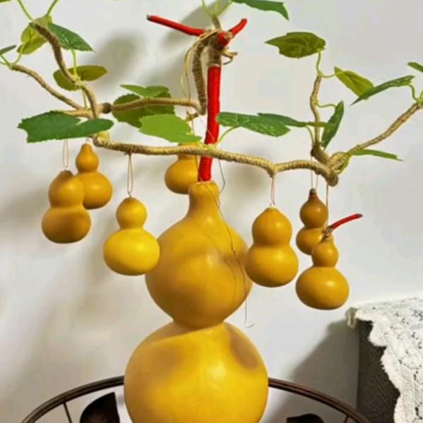 🍎善良杜姐🍎