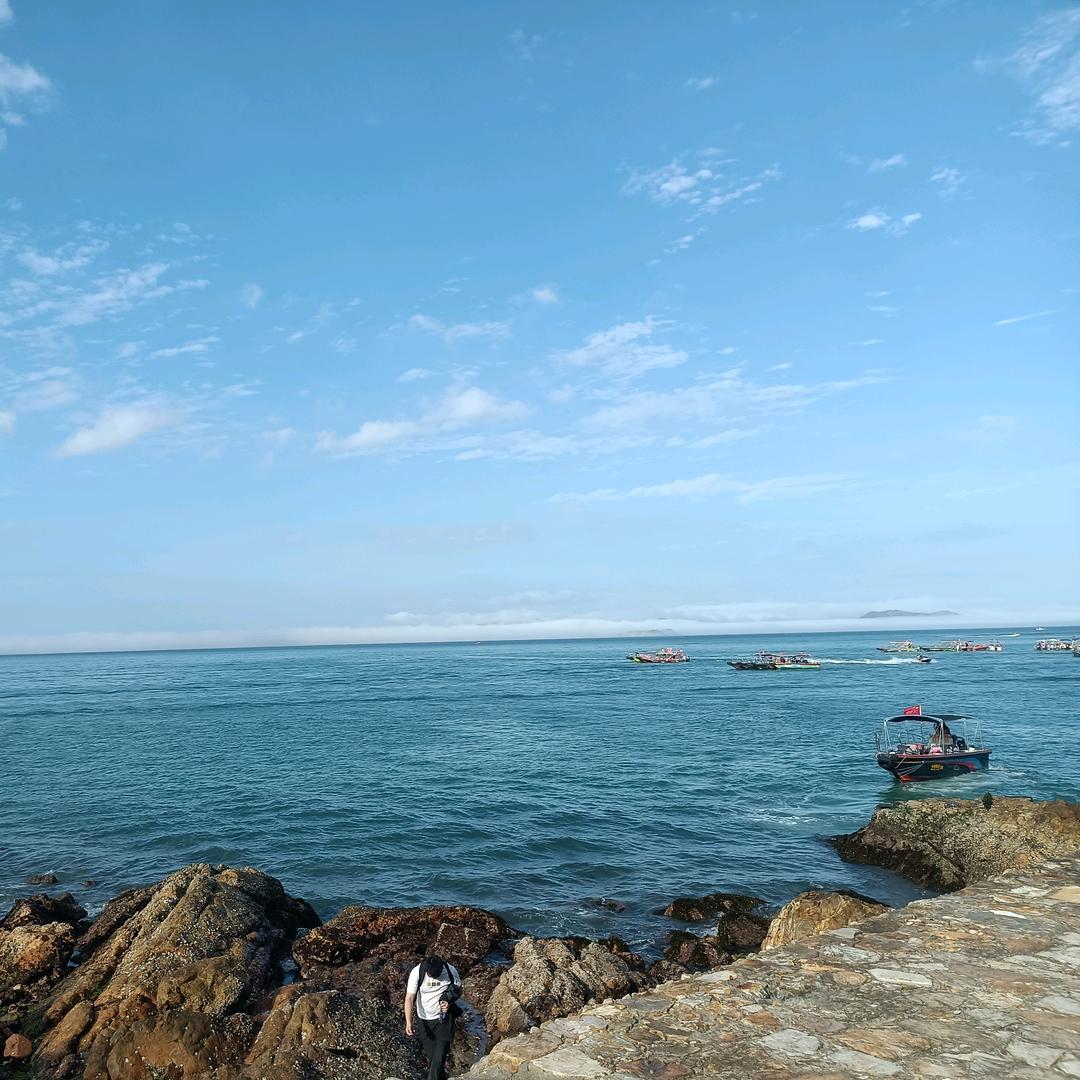 @莫愁前路无知己