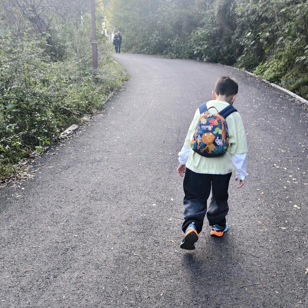 垃圾桶的玫瑰花