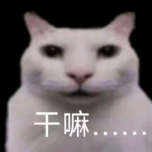 0vO
