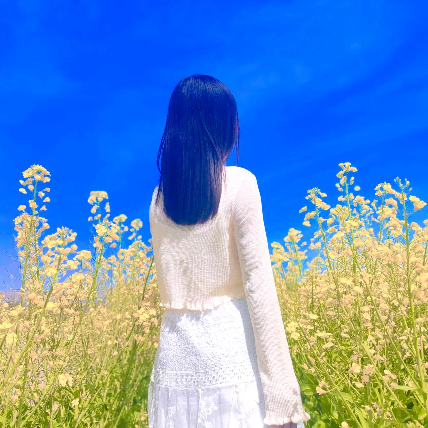 ꧁᭄ 七安𝒜𝓌꧂