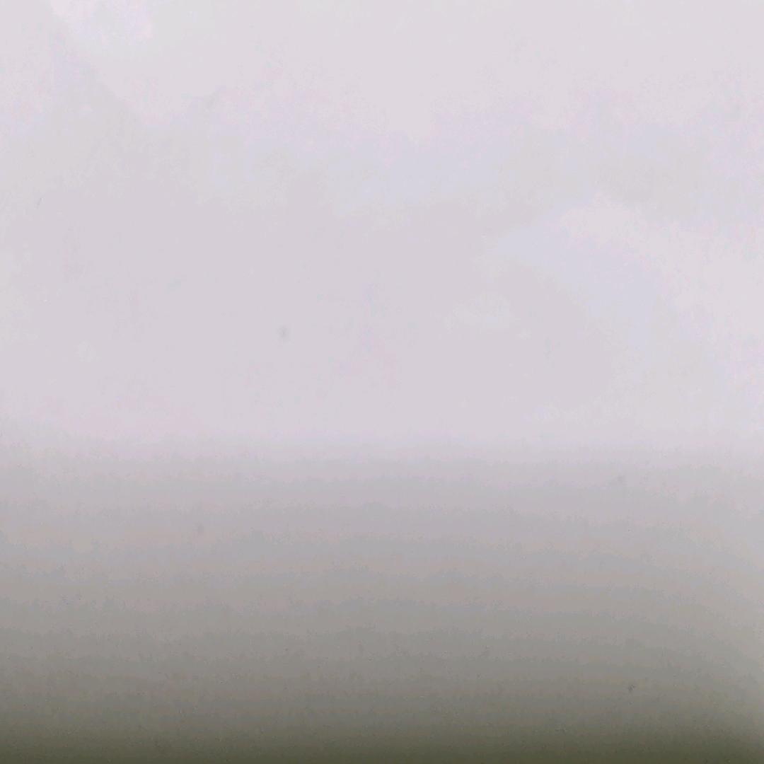 冷无情